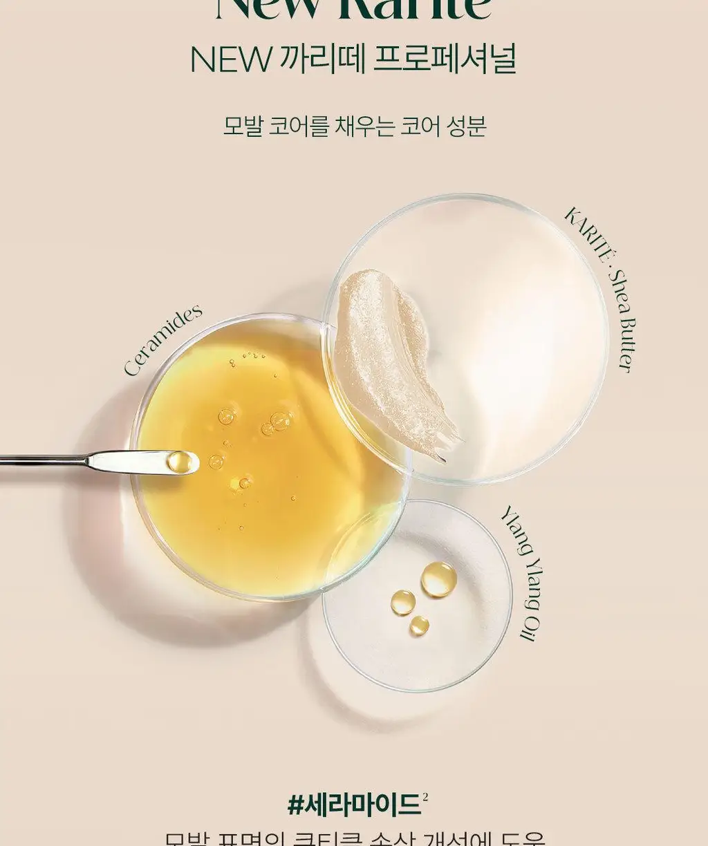 [손상 모발 케어] 르네휘테르 까리떼 프로페셔널 샴푸 200ml 상세페이지 6